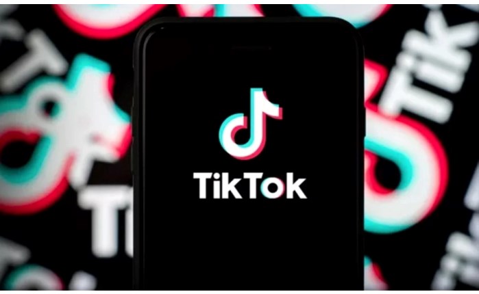 TikTok: «Καθαρό αποκύημα φαντασίας» ότι ο Ίλον Μασκ διεξάγει συζητήσεις για εξαγορά στις ΗΠΑ